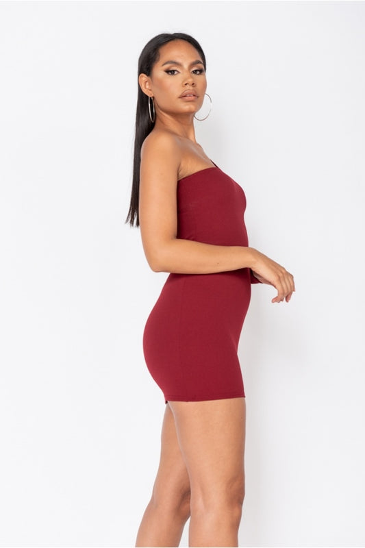 Sadya Wine One Shoulder Mini Dress